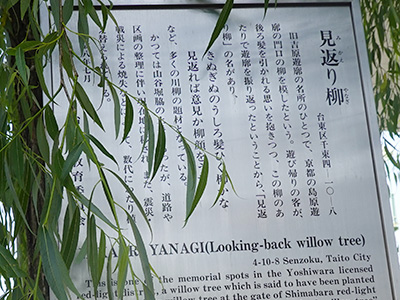 見返り柳